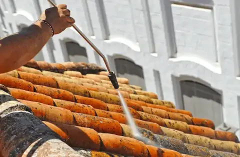 Nettoyage de toitures - Nurieux-Volognat